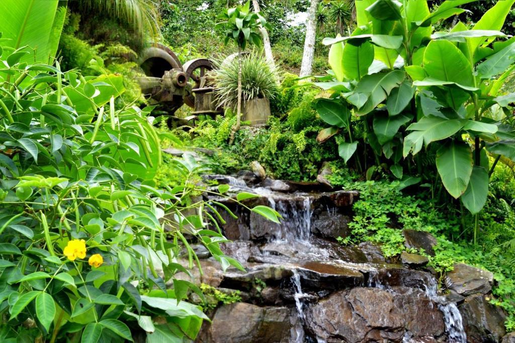 Finca Hamburgo La Ruta Del Cafe Tuzantan Ngoại thất bức ảnh